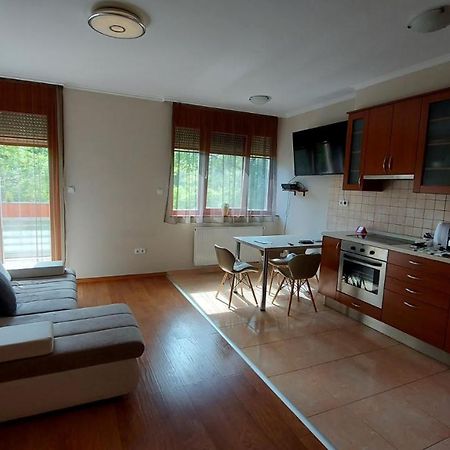 Sunny Loft Kecskemetアパートメント エクステリア 写真