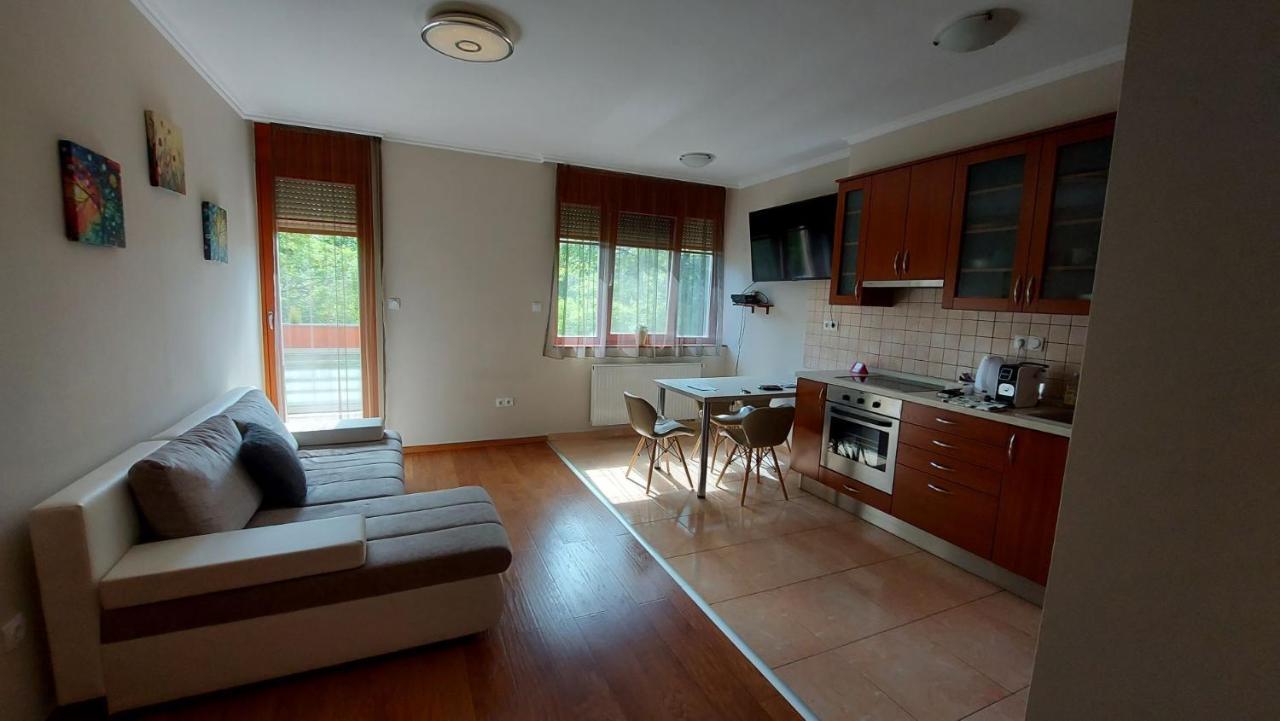 Sunny Loft Kecskemetアパートメント エクステリア 写真